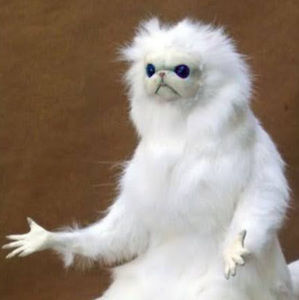 Meet your Posher, Ryder